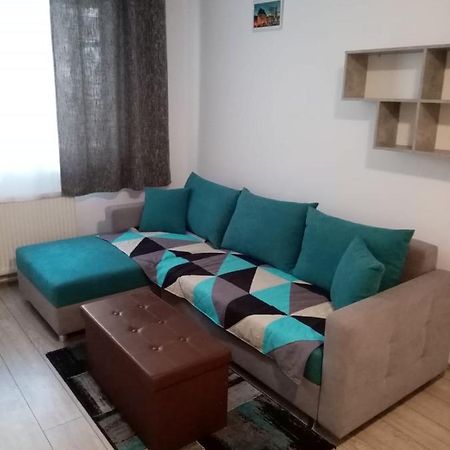 Mountain Loft Apartment Piatra Neamt Bagian luar foto