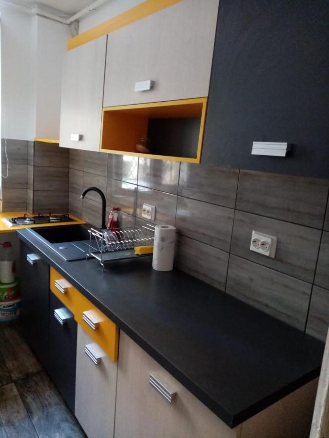 Mountain Loft Apartment Piatra Neamt Bagian luar foto